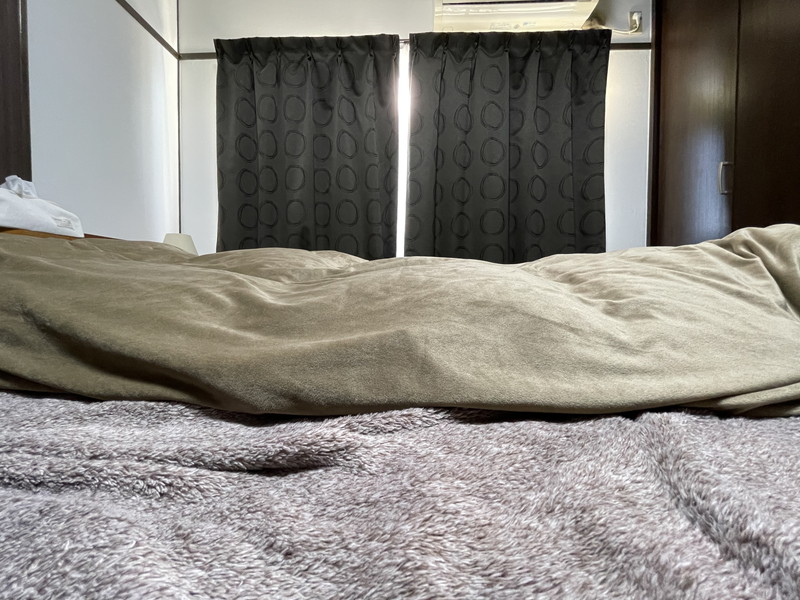 ニトリの羽毛布団とホテルスタイルの寝心地比較！実際に購入して寝てみた結果おすすめはコレ | 北欧家具ブログ